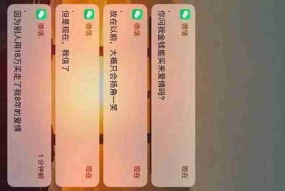 csol租号玩 登录器进不去 求大神求救