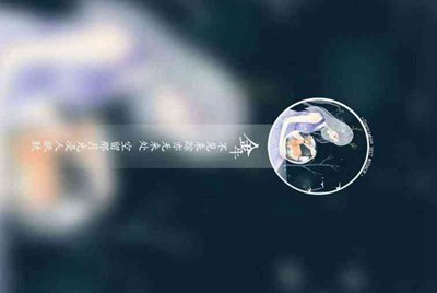 租号玩为什么进不去？