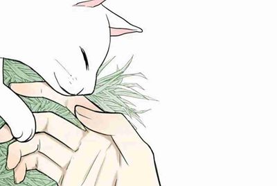 拼多多到底好不好做？ 流量大不大