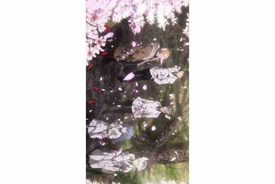 租号玩怎么补全信息