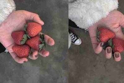 谁能让我玩他反恐精英ol号一个月，我给他往里冲500，再赏他200财富值 QQ954795553