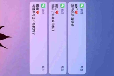 支付宝里面的租用手机，租用的手机如果丢了怎么办呢？