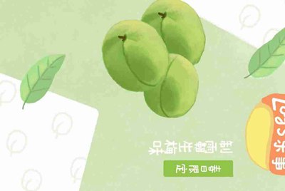 电脑租号玩下载了安装不了