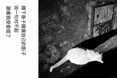 火线精英手机版土豪号借我玩
