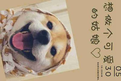 请问可以在网上取消日租卡吗，怎么取消呢