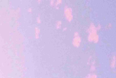 星际争霸2破解版怎么存档，求个高端方法...要保证能存啊！