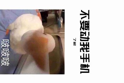 租号玩怎么删除自己发布的账号?