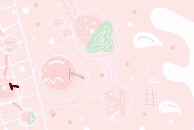 我的5金24紫的第五人格账号出租一小时大概定价多少钱?