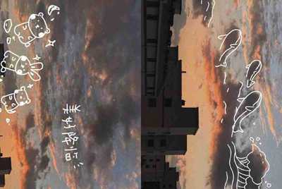十一月5日是什么星座
