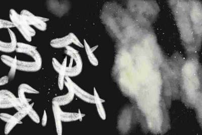 在网吧用租号器不能上CF提示游戏环境异常怎么办