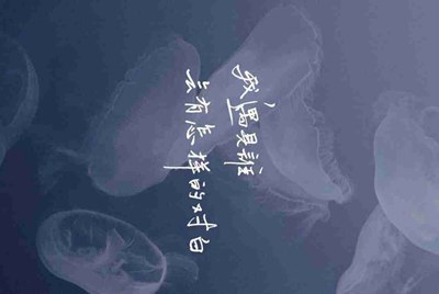 荒野行动pc版的同一个账号怎么换号码?