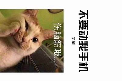 租号玩上号器安全不