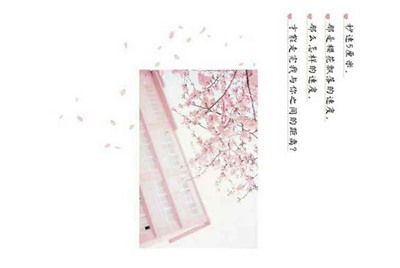租号玩怎么找回支付密码？