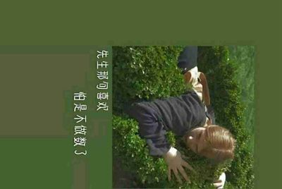淘宝助理上的类目怎么使用？