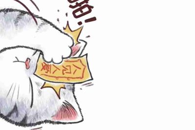 租号玩忘记用户名咋办
