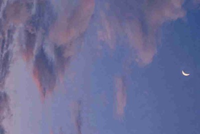 在租号玩APP上把号租出去了，如果别人开挂号被封我作为号主会得到赔偿吗