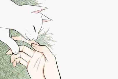 我在交易猫租号没收到租金