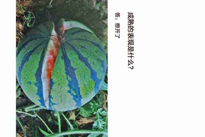 租号玩，手游租号怎么上号