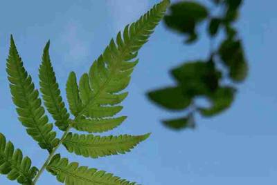 我在租号玩平台租了一个游戏账号，但是上号后提示密码错误我就投诉了，我就想知道租金能退回来吗