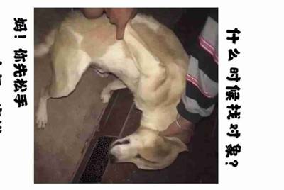 租号租了一个游戏账号怎么登陆？