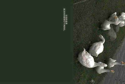 租号玩上号器安全不
