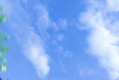 我真搞不明白了 5173 卖反恐精英OL账号的签约五星卖家卖家全部都是身份证号码错误