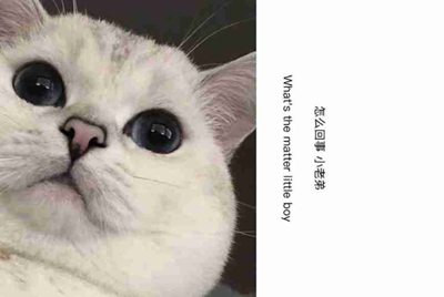 有没有谁能告诉我这三个锁住的怎么解锁码