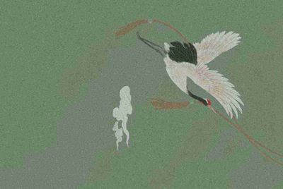 租号玩进不去