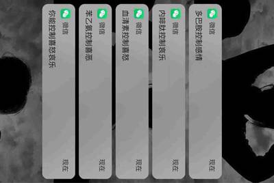租号玩为什么进不去？
