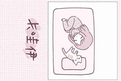 租号租了一个游戏账号怎么登陆？