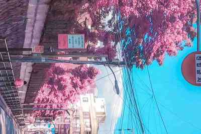 绝地求生辅助如何过租号器