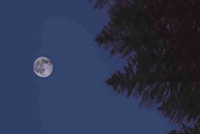 租号玩怎么找回支付密码，我忘记了