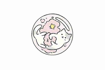 2konline里的球星点有什么用，会被清空吗？球员精华呢？