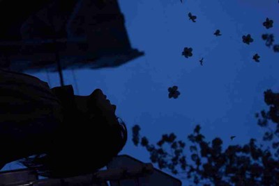 steam用户名的格式是什么样的