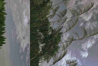 急需购物打折的网站，有没有好的购物打折网可以推荐？