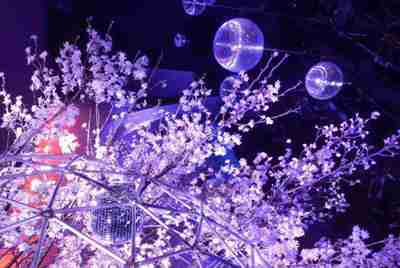 生死狙击借号 求求大神们了