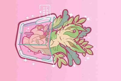 组号玩网页怎么打不开