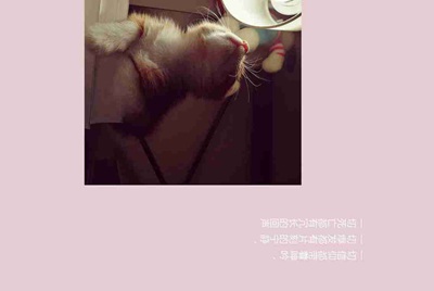 魔兽世界怀旧服代练真的只能去工作室吗？