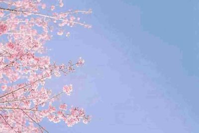 生死狙击永久免费送号
