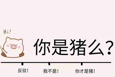 我手机号不用了 我登录账号需要验证怎么办