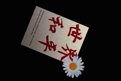 电脑租号玩下载了安装不了