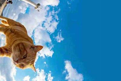 哪位土豪借我一个火线精英的号。猎魔武器，我保证，谢谢。
