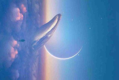 在家里下载了Steam租号进游戏不能下载