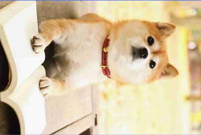 如何让360和QQ同时运行?