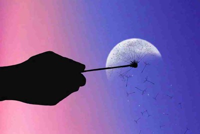 steam可以不要验证码就登录吗？
