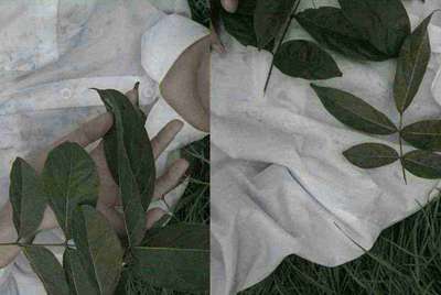 租号玩怎么删除自己发布的账号?