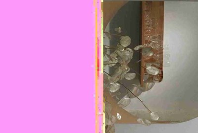 租号玩登入器为什么要我一直按登入游戏