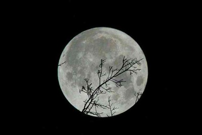 我想把绝地求生的号在租号玩上面租出去 但是我的号每次登录都有QQ邮
