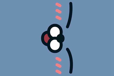 租号玩怎么补全信息？