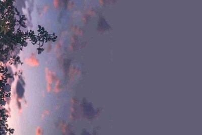 租号玩买号安全吗